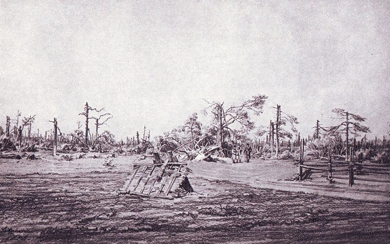 Attēls:Huns Mezs pec vetras.jpg