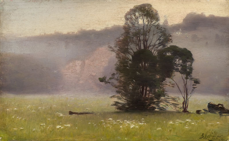 Attēls:Feders Rita migla Koknese.jpg